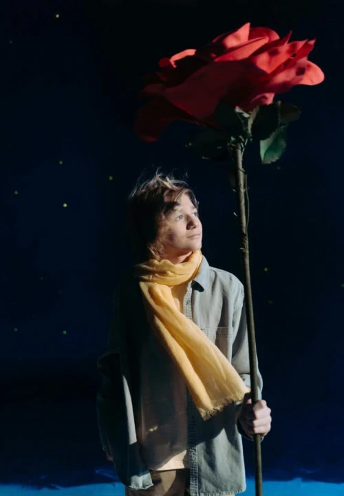 boy-with-yellow-scarf-holding-a-red-flower-7182065